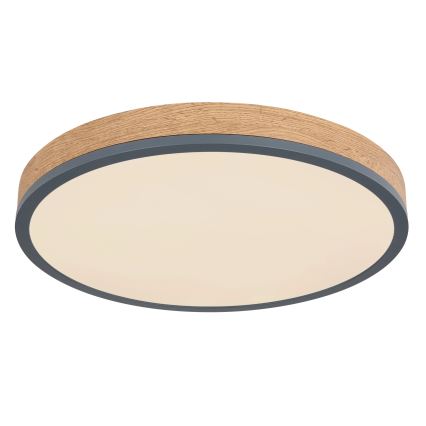 Globo - Corp de iluminat de tavan LED cu funcție de dimare/24W/230V 3000-6500K diam. 45 cm