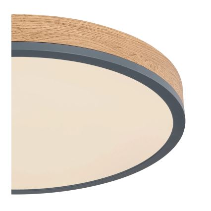 Globo - Corp de iluminat de tavan LED cu funcție de dimare/24W/230V 3000-6500K diam. 45 cm