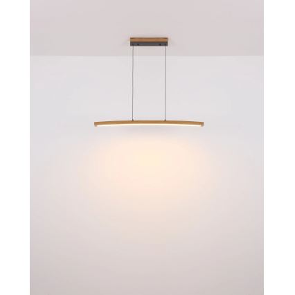 Globo - Lampă suspendată LED dimabilă, cu control tactil, pe cablu LED/18W/230V 3000K