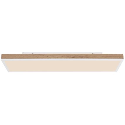 Globo - Lampă LED dimabilă de tavan LED/24W/230V 2700-6500K 20x80 cm + telecomandă