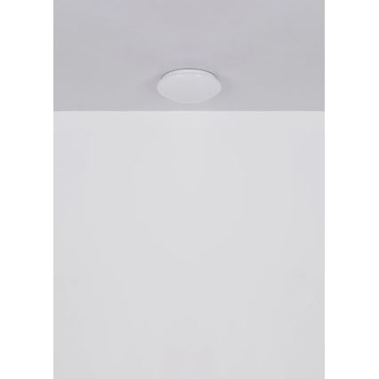 Globo - Plafonieră LED 12W/230V, 4000K, diametru 25,4 cm