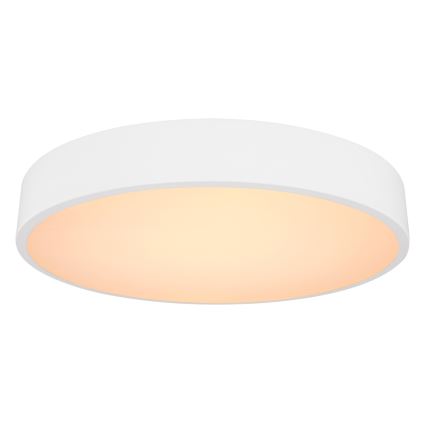 Globo - Plafonier LED reglabil, LED/24W/230V 3000-6000K cu telecomandă