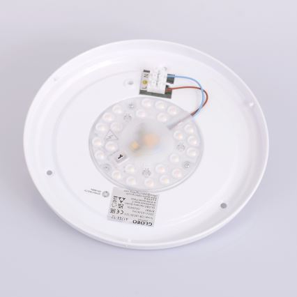 Globo - Plafonier LED LED/12W/230V 307 mm 3000/4500/6000K