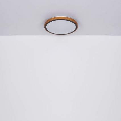 Globo - Plafonier LED LED/12W/230V 307 mm 3000/4500/6000K