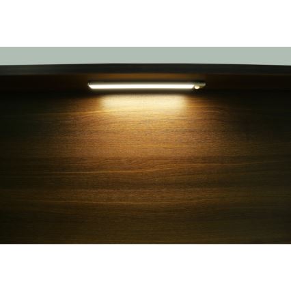 Globo - Lampă LED încastrabilă reglabilă, reîncărcabilă LED/1,4W/5V 4000K 1100 mAh 24 cm