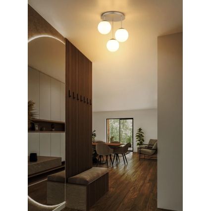 Globo - Lustră aplicată 3xE14/25W/230V alamă
