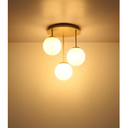 Globo - Lustră aplicată 3xE14/25W/230V alamă
