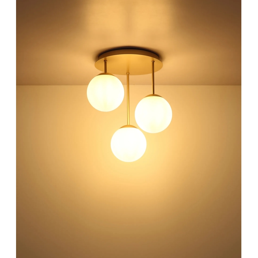 Globo - Lustră aplicată 3xE14/25W/230V alamă
