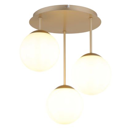 Globo - Lustră aplicată 3xE14/25W/230V alamă