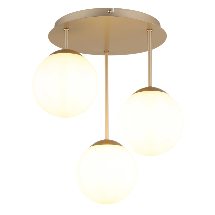 Globo - Lustră aplicată 3xE14/25W/230V alamă