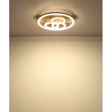 Globo - Plafonieră LED cu funcție de dimare LED/40W/230V 2700-6500K Ø 35x33 cm bej + telecomandă