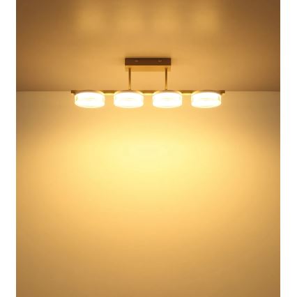 Globo - Plafonieră LED aplicată, 24W, 230V, 3000K