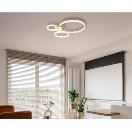 Globo - Plafonieră LED/40W/230V 3000K 64,5x75 cm