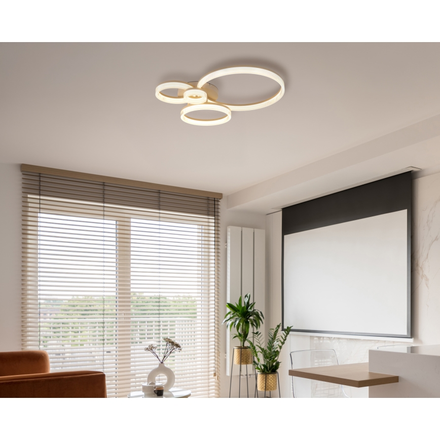 Globo - Plafonieră LED/40W/230V 3000K 64,5x75 cm