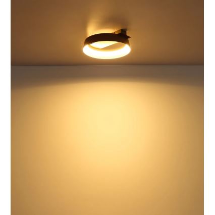 Globo - Plafonieră LED/12W/230V 3000K 26x25 cm