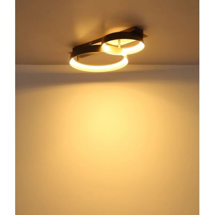 Globo - Plafonieră LED LED/24W/230V 3000K 50x35 cm