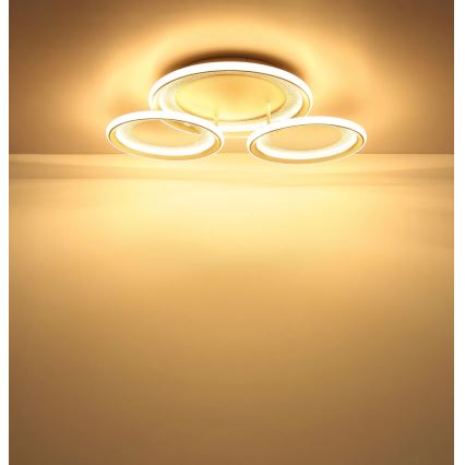 Globo - Plafonieră LED/40W/230V 3000K 60,5x62,5 cm