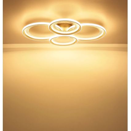 Globo - Plafonieră LED 50W/230V 3000K 64,5x85,5 cm