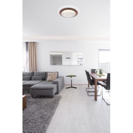 Globo - Plafonier LED TABASCO LED/12W/230V
