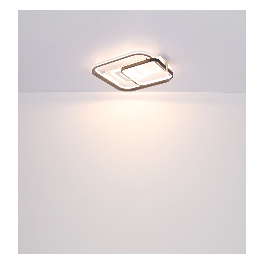 Globo 48459-48 - Plafonieră LED reglabilă ANI LED/48W/230V 2700-6000K 48x52 cm + telecomandă