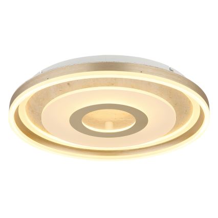 Globo - Plafonieră LED LED/40W/230V 3000K pr. 50 cm