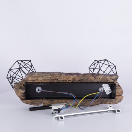 Globo - Spot cu 2 becuri E27/60W/230V