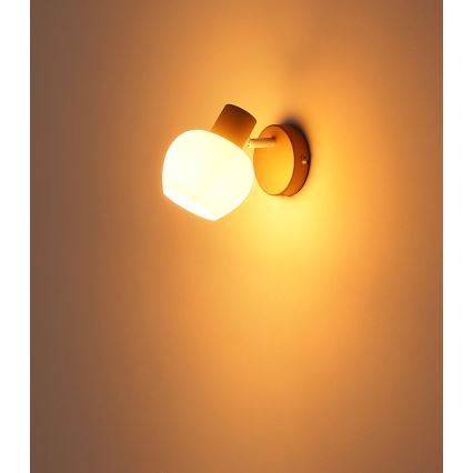 Globo - Aplică de perete tip spot 1xE27/40W/230V