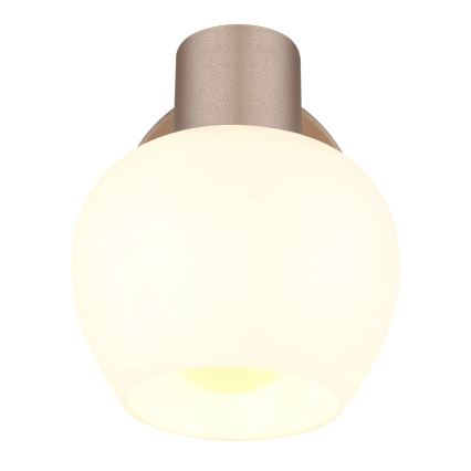 Globo - Aplică de perete tip spot 1xE27/40W/230V