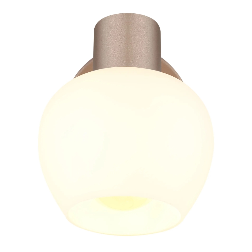 Globo - Aplică de perete tip spot 1xE27/40W/230V