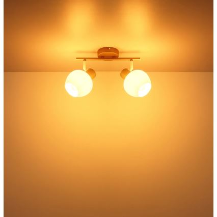 Globo - Lampă spot 2xE27/40W/230V