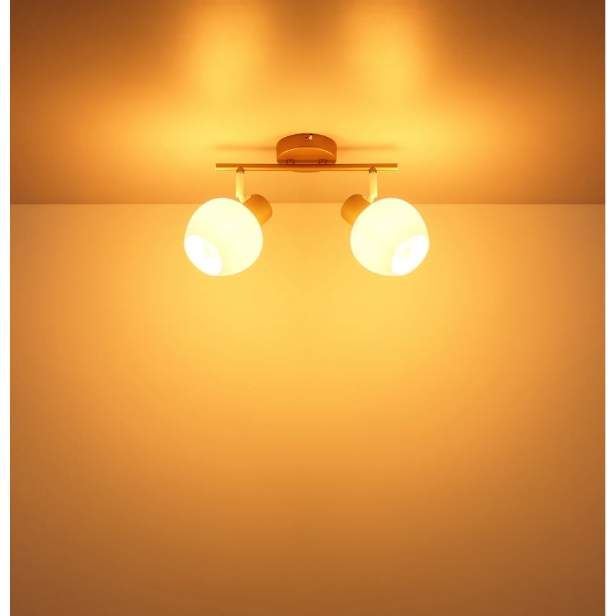 Globo - Lampă spot 2xE27/40W/230V