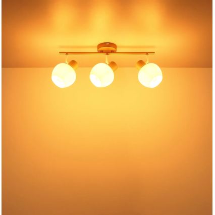 Globo - Plafonieră cu spoturi 3xE27/40W/230V