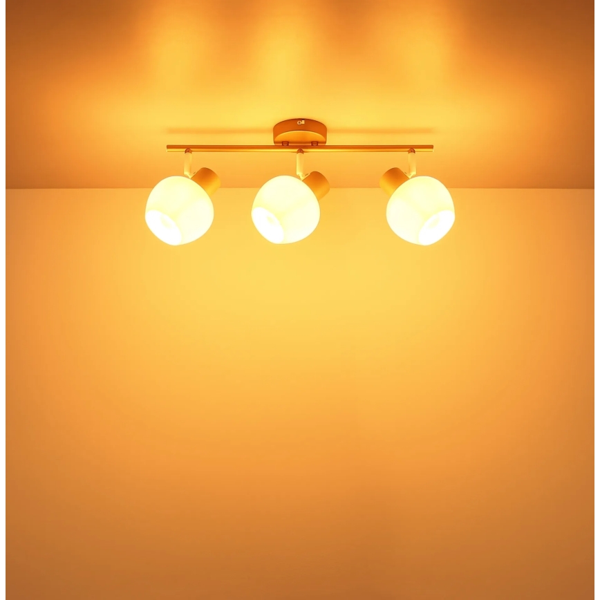 Globo - Plafonieră cu spoturi 3xE27/40W/230V