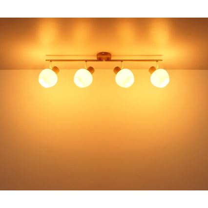 Globo - Spot 4xE27/40W/230V