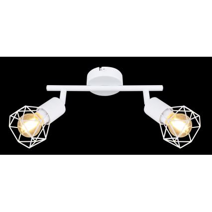 Globo - Lampă spot 2xE14/40W/230V