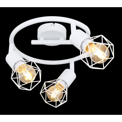 Globo - Lampă spot 3xE14/40W/230V