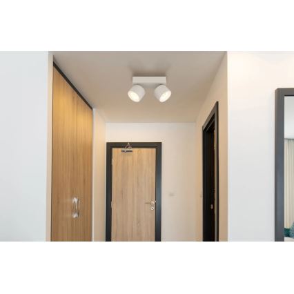 Globo - Spot LED 2xLED/6W/230V