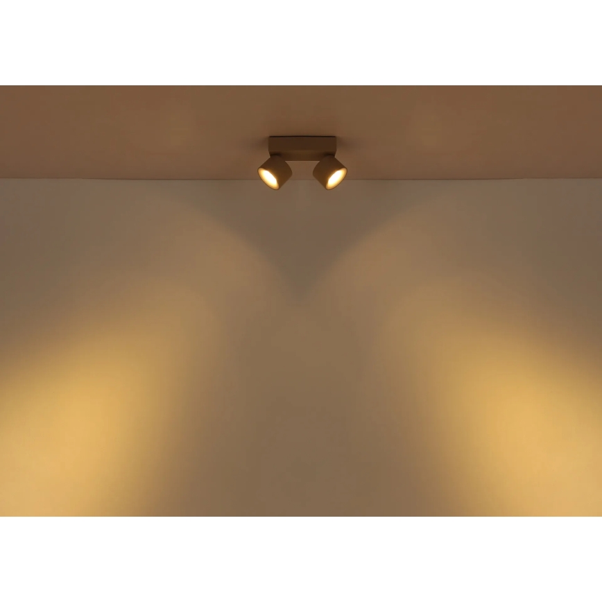 Globo - Spot LED 2xLED/6W/230V