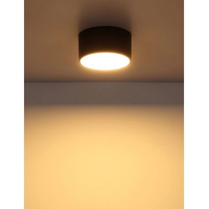 Globo - Lampă LED de tavan, 12W, 230V, 3000K, Ø 15 cm, negru