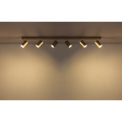 Globo - Corp de iluminat cu spoturi 6x GU10/35W/230V, bej
