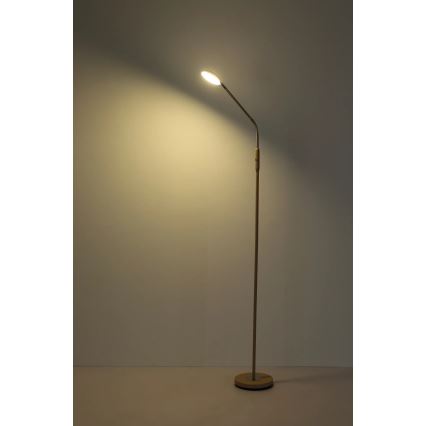 Globo - Lampă de podea LED tactilă dimabilă LED/6,5W/230V 2700/3350/4000K bej