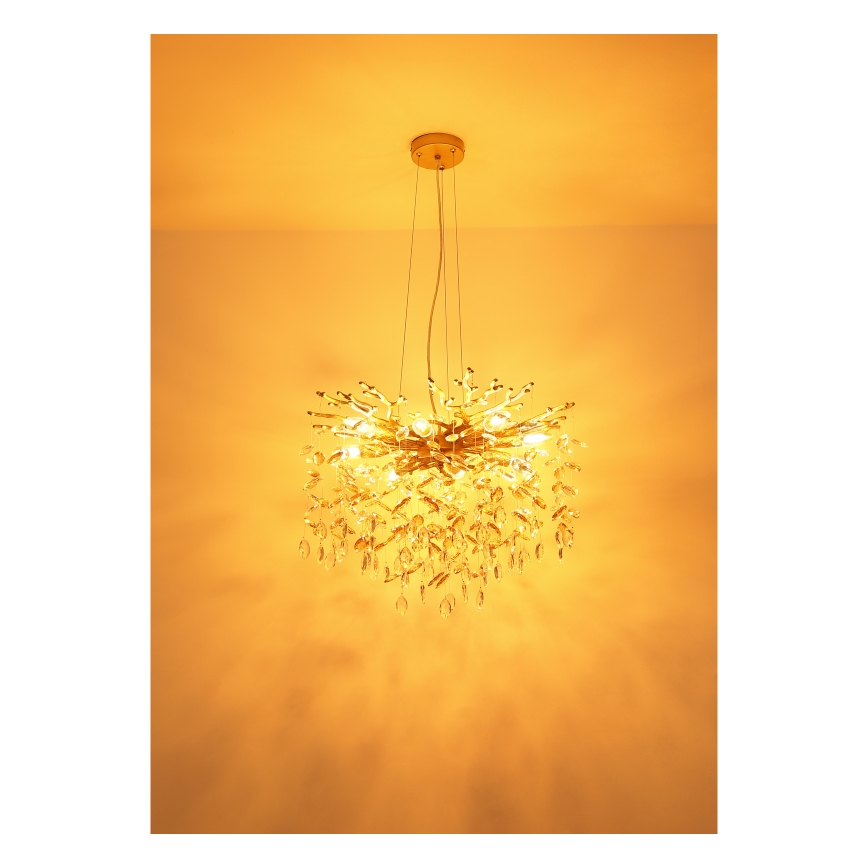 Globo - Lustră suspendată pe cablu, 8xE14/40W/230V, aurie