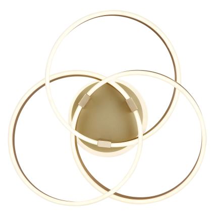 Globo - Plafonieră LED reglabilă LED/56W/230V 2700-6000K 57,5x60 cm auriu + telecomandă