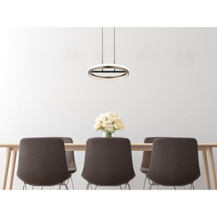 Globo - Lustră LED suspendată pe cablu LED/40W/230V 3000/4000/6000K diam. 39,7 cm