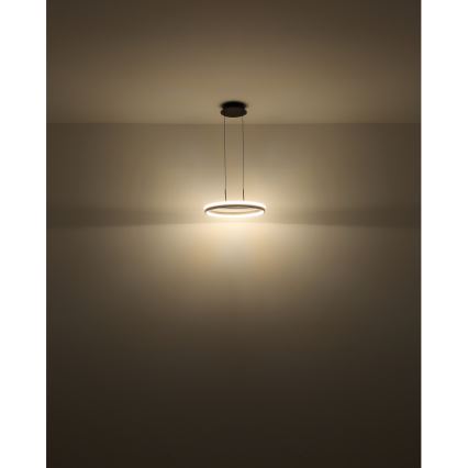 Globo - Lustră LED suspendată pe cablu LED/40W/230V 3000/4000/6000K diam. 39,7 cm