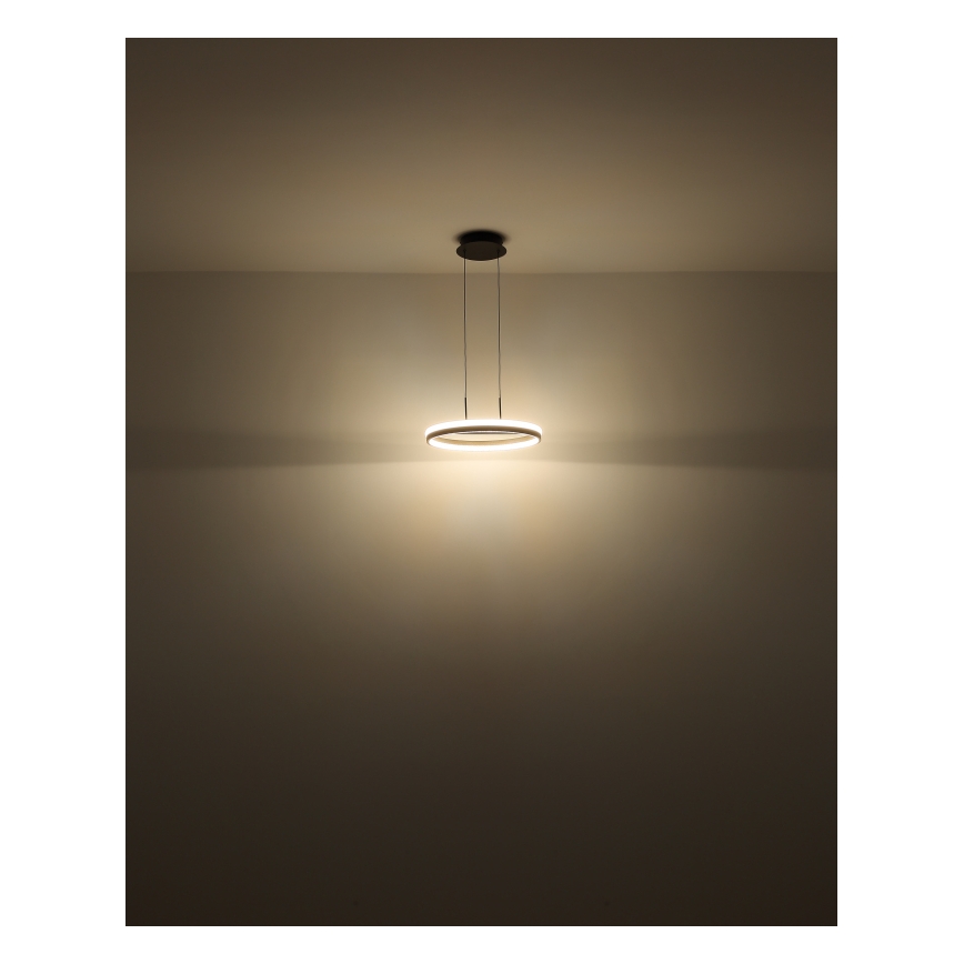 Globo - Lustră LED suspendată pe cablu LED/40W/230V 3000/4000/6000K diam. 39,7 cm