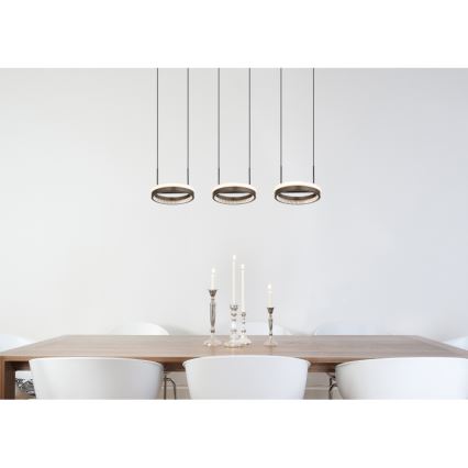 Globo - Lustru LED suspendat pe cablu LED/40W/230V 3000/4000/6000K