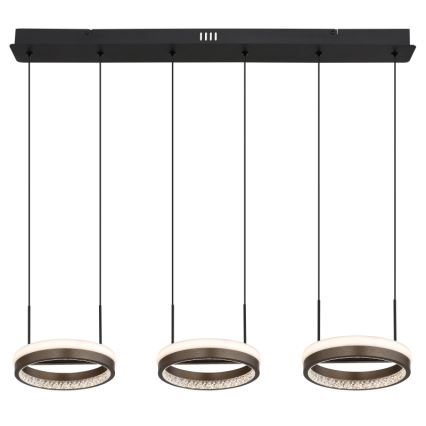 Globo - Lustru LED suspendat pe cablu LED/40W/230V 3000/4000/6000K