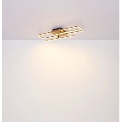 Globo - Plafonieră LED/24W/230V 3000K 20x80 cm
