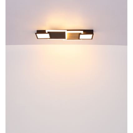 Globo 67279-30 - Plafonieră LED CAROLINE LED/30W/230V 25x71,5 cm bej/negru